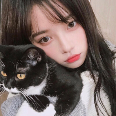 萌 系猫耳动漫少女头像