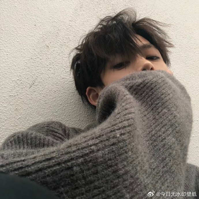 小 猪猪情侣头像