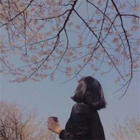 可	爱三丽鸥人物动漫头像女生